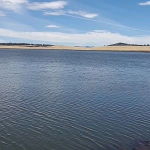 Meet your Posher, Dennelle